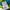 Sportswear Futurist Track jacket Pria green photo 5