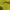Fjällräven Streetwear Futurist Bag Pria yellow photo 4
