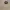 Baracuta Casual Harrington jacket Pria khaki photo 4
