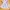 Vintage Casual Baju bayi Kids purple photo 1