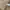 Uniform Bridge Casual Casual pants Pria tan photo 6