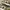 Nike Indie Casual Sneakers Pria tan black photo 2