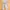 Casual Baju bayi Kids tan photo 1
