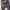 Casual Formal shirt Pria purple photo 3