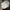 Oakley Gorpcore Sportswear Hat Pria cream photo 5
