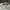 Oakley Gorpcore Sportswear Hat Pria cream photo 4