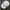 Oakley Gorpcore Sportswear Hat Pria cream photo 2