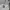 Kapito For One Person Only Y2K Hoody Pria gray photo 3