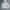 Kapito For One Person Only Y2K Hoody Pria gray photo 1
