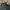 Oakley Gorpcore Sportswear Hat Pria black photo 4