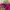 Mizuno Sportswear Jersey Wanita pink photo 2