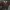Polham Vintage Casual Polo Shirt Pria Burgundy Yellow
