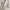 Mahagrid Minimalist Casual Sweatshirt Pria gray photo 4