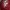 Off-White Casual Capes & poncho Pria red photo 1