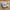 New Balance Casual Sneakers Pria white photo 1
