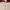 Lolita Coquette Cardigan Wanita white red photo 2