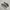 Converse Skater Casual Sneakers Pria tan photo 1