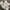 Japanese brand Vintage Casual Kids white yellow photo 3