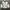 Japanese brand Vintage Casual Kids white yellow photo 1