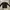 Guess Luxury Sweater Pria black photo 2