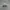 Kangol Vintage Indie Hat Pria gray photo 1