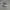Kangol Vintage Indie Hat Pria gray photo 4