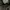 Adidas Streetwear Casual Windbreaker Pria green photo 2