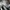 VANS Skater Casual Sneakers Pria white black photo 6