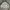 Japanese brand Vintage Kids silver black photo 7