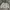 Japanese brand Vintage Kids silver black photo 8