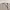 Grooverhyme Streetwear Skater Sweatshirt Pria tan cream photo 3