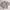 Grooverhyme Streetwear Skater Sweatshirt Pria tan cream photo 4