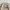 Grooverhyme Streetwear Skater Sweatshirt Pria tan cream photo 2