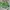 Japanese brand Vintage Kids green yellow photo 7