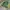 Japanese brand Vintage Kids green yellow photo 6