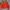 Japanese brand Vintage Kids red photo 3