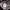 Adidas Streetwear Y2K Puffer jacket Pria multicolor photo 7
