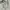 National Geographic Minimalist Casual Sweatshirt Pria white photo 5