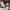 Puma Casual Sneakers Pria white photo 4