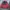 Champion Vintage Streetwear Sweater Pria red photo 1