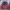 Champion Vintage Streetwear Sweater Pria Red