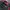 Champion Vintage Streetwear Sweater Pria red photo 2
