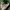 Vintage Casual Casual shoe Pria tan photo 1