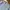 Nike Streetwear Skater Sweatshirt Pria gray photo 2
