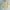 Issey Miyake Vintage Luxury T-shirt Pria yellow photo 1