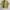Kansai Yamamoto Vintage Streetwear T-shirt Pria yellow photo 1