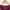 VANS Streetwear T-shirt Pria burgundy photo 3