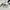Adidas Y2K Sportswear Jersey Pria white photo 5