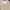 Japanese brand Vintage Cosplay Blouse Wanita tan photo 3