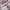 Nike Air Jordan Casual Sneakers Wanita burgundy pink photo 2
